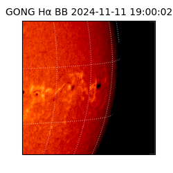 gong - 2024-11-11T19:00:02