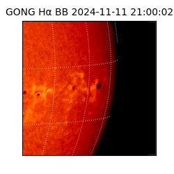 gong - 2024-11-11T21:00:02