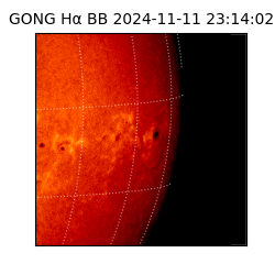 gong - 2024-11-11T23:14:02