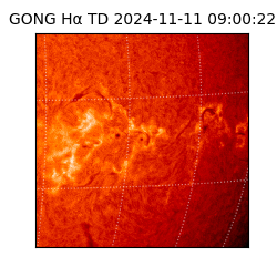 gong - 2024-11-11T09:00:22