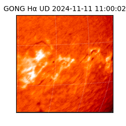 gong - 2024-11-11T11:00:02