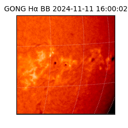 gong - 2024-11-11T16:00:02
