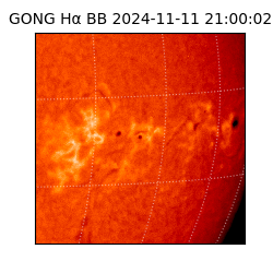 gong - 2024-11-11T21:00:02
