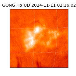 gong - 2024-11-11T02:16:02