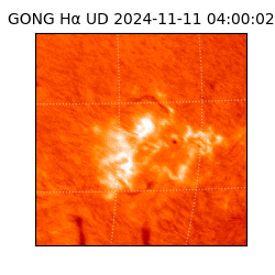 gong - 2024-11-11T04:00:02