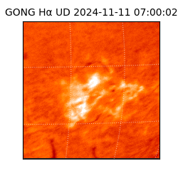 gong - 2024-11-11T07:00:02