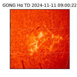 gong - 2024-11-11T09:00:22