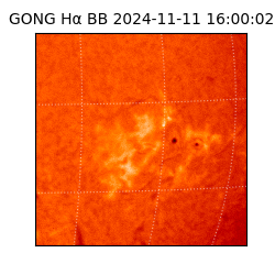 gong - 2024-11-11T16:00:02