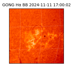 gong - 2024-11-11T17:00:02