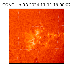 gong - 2024-11-11T19:00:02