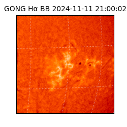 gong - 2024-11-11T21:00:02