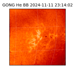 gong - 2024-11-11T23:14:02