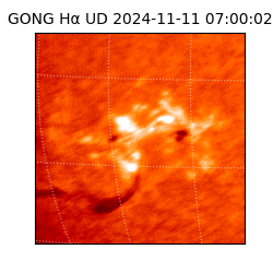 gong - 2024-11-11T07:00:02