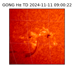 gong - 2024-11-11T09:00:22