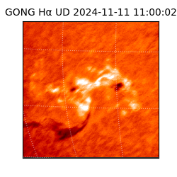 gong - 2024-11-11T11:00:02