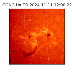 gong - 2024-11-11T12:00:22