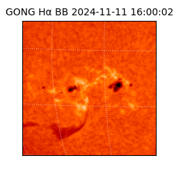 gong - 2024-11-11T16:00:02