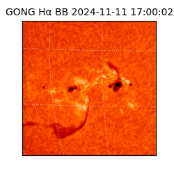 gong - 2024-11-11T17:00:02