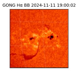 gong - 2024-11-11T19:00:02