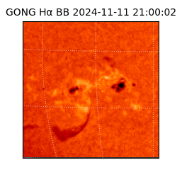 gong - 2024-11-11T21:00:02