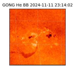 gong - 2024-11-11T23:14:02