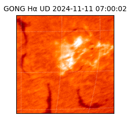 gong - 2024-11-11T07:00:02
