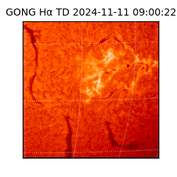 gong - 2024-11-11T09:00:22