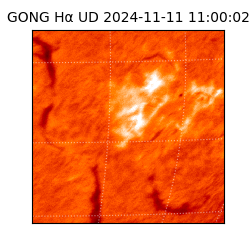 gong - 2024-11-11T11:00:02