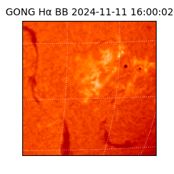 gong - 2024-11-11T16:00:02