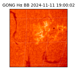 gong - 2024-11-11T19:00:02