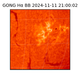 gong - 2024-11-11T21:00:02