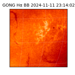 gong - 2024-11-11T23:14:02