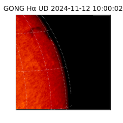 gong - 2024-11-12T10:00:02