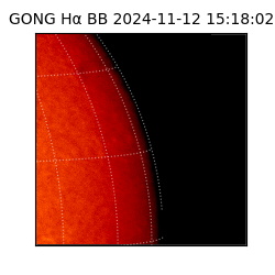 gong - 2024-11-12T15:18:02