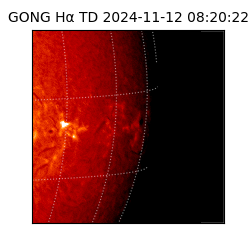 gong - 2024-11-12T08:20:22