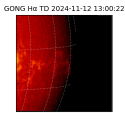 gong - 2024-11-12T13:00:22