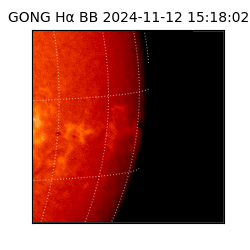 gong - 2024-11-12T15:18:02