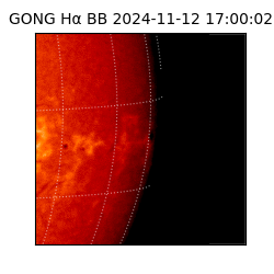 gong - 2024-11-12T17:00:02