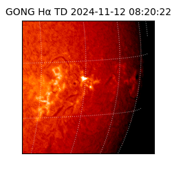 gong - 2024-11-12T08:20:22