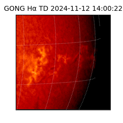 gong - 2024-11-12T14:00:22