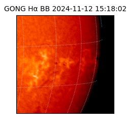 gong - 2024-11-12T15:18:02