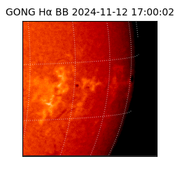 gong - 2024-11-12T17:00:02