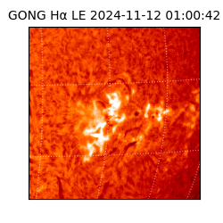 gong - 2024-11-12T01:00:42