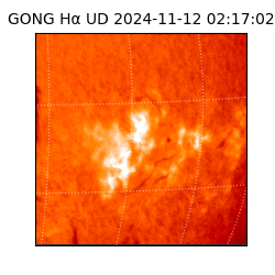 gong - 2024-11-12T02:17:02