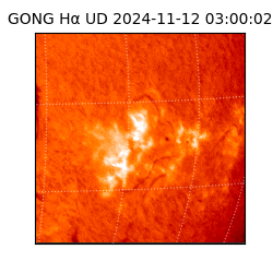 gong - 2024-11-12T03:00:02