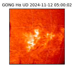 gong - 2024-11-12T05:00:02