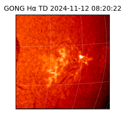 gong - 2024-11-12T08:20:22