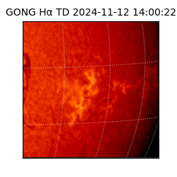 gong - 2024-11-12T14:00:22