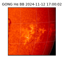 gong - 2024-11-12T17:00:02