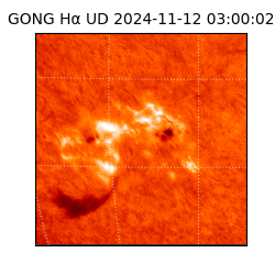 gong - 2024-11-12T03:00:02